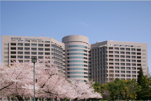 桜と名古屋大学附属病院
